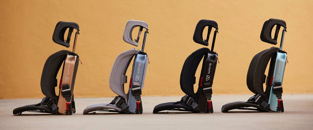 Pico's 2019 in a Nutshell