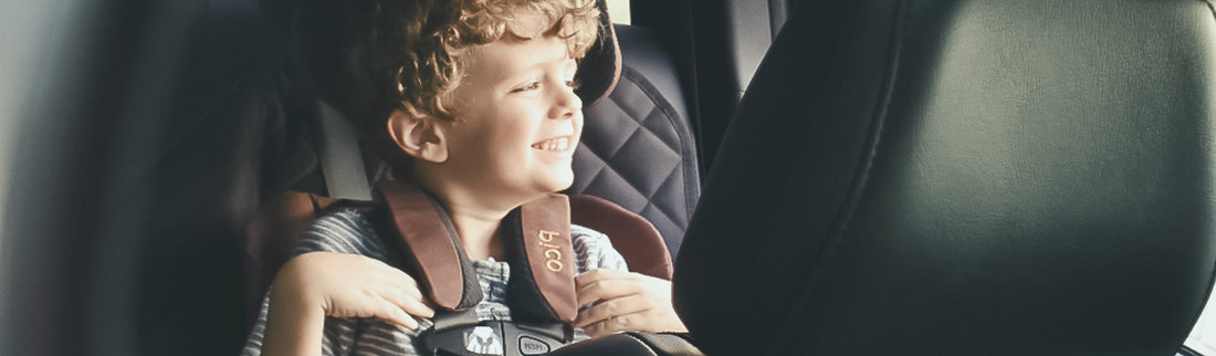 WAYB Pico Car Seat year in review