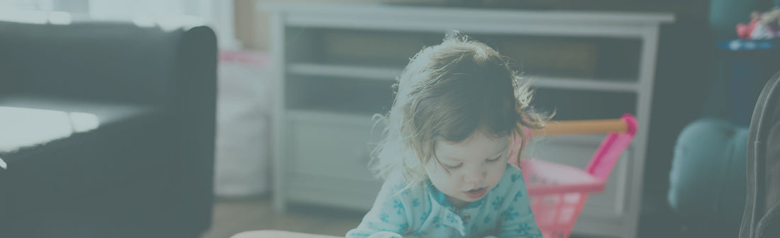 Adventures in Homeschooling