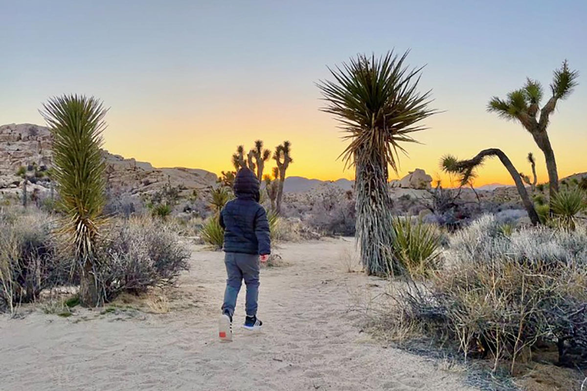 The Best Toddler-Friendly National Parks