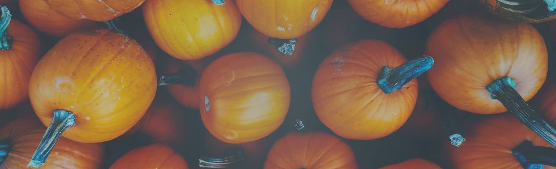 Halloween at home tips from WAYB