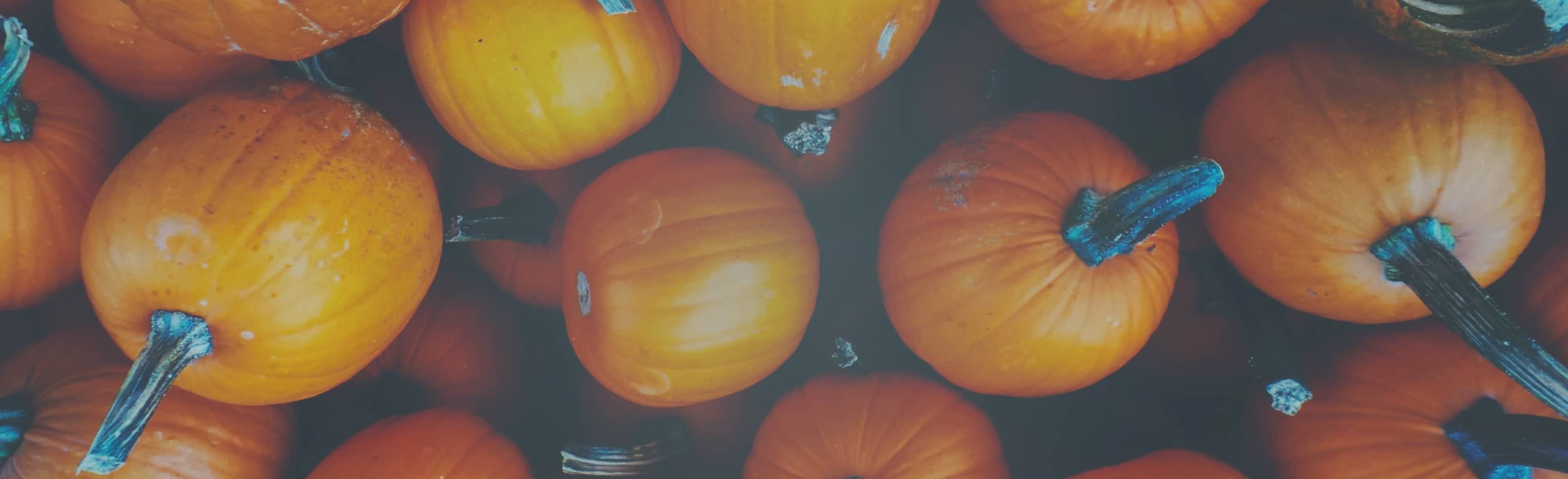 Halloween at home tips from WAYB
