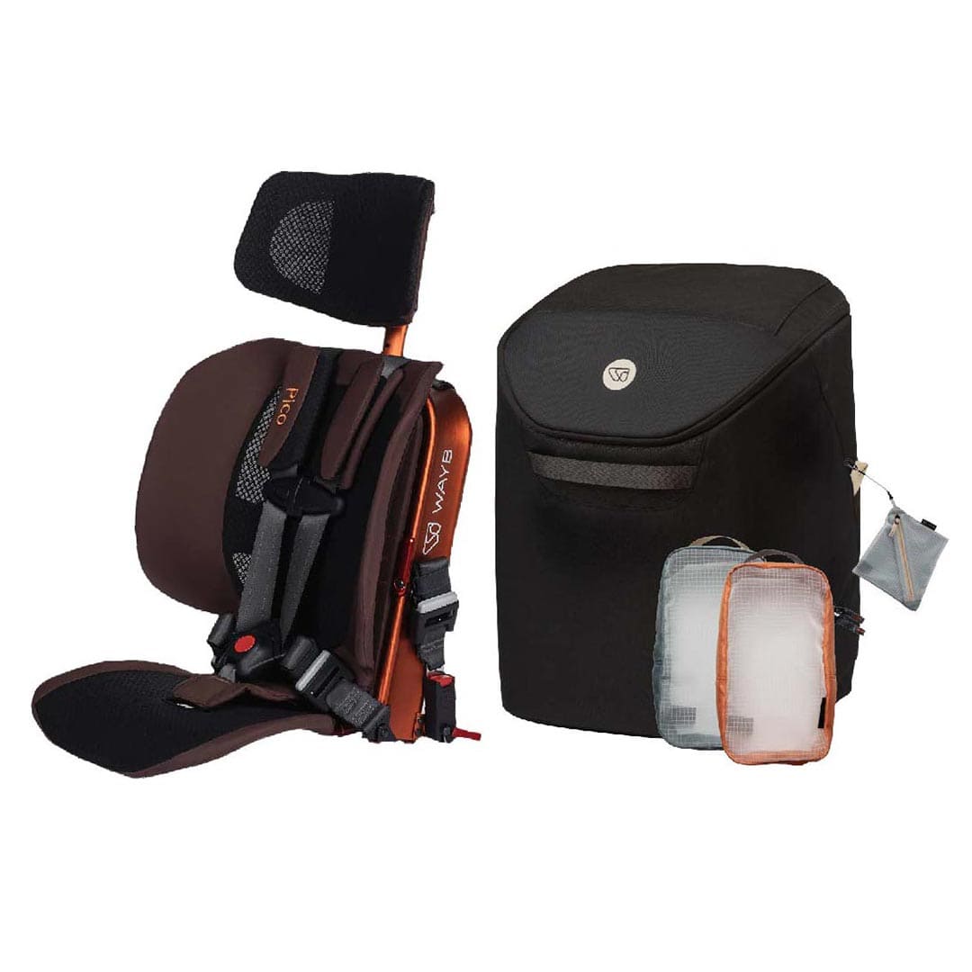 A WAYB brand baby car seat shown next to a matching black storage bag and two small organizer pouches, all photographed on a clean white background.