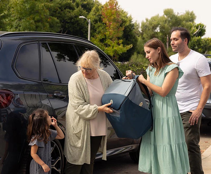 Pico™ Portable Car Seat