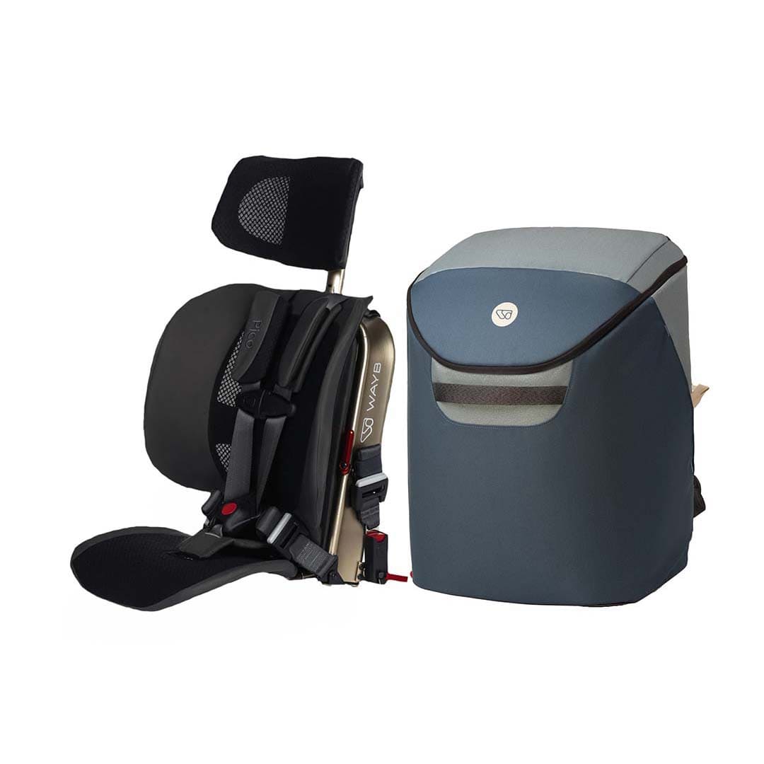 WAYB car seat and carry bag in Earth