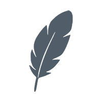 Icon Feather