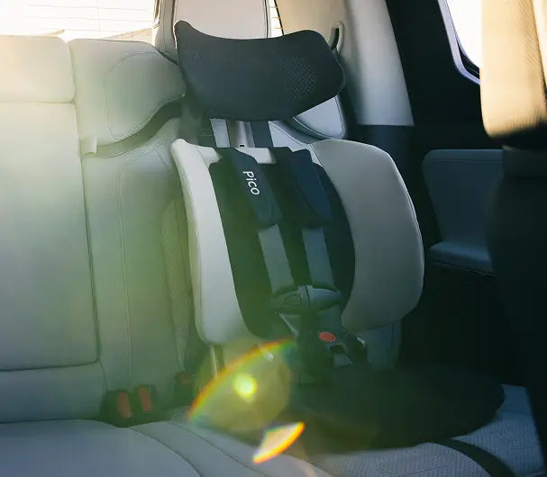 The 8lb. Portable Car Seat