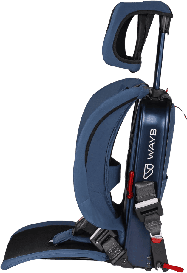 Blue climbing harness with carabiner on a transparent background
