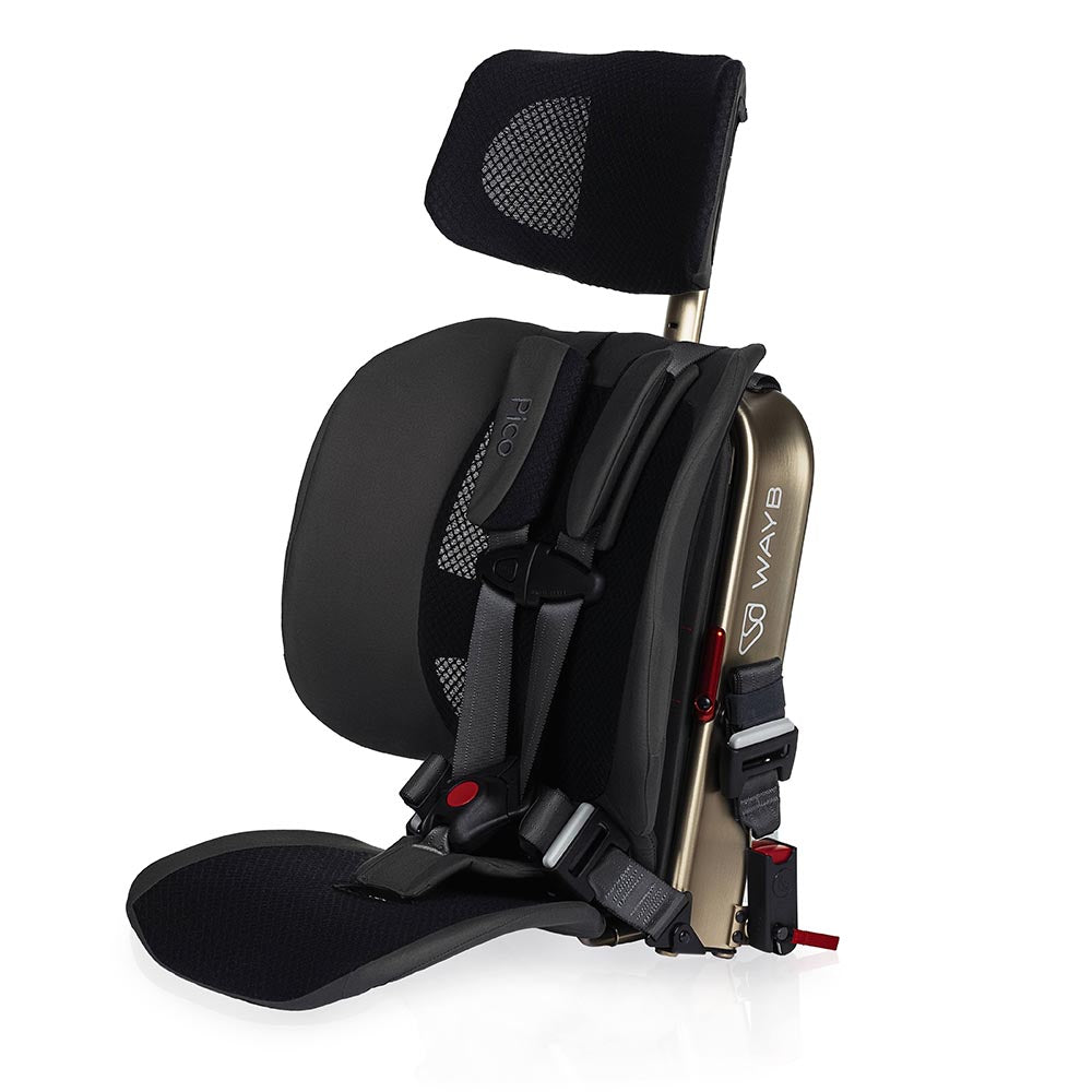 Re-Certified Pico Portable Car Seat in color: Earth