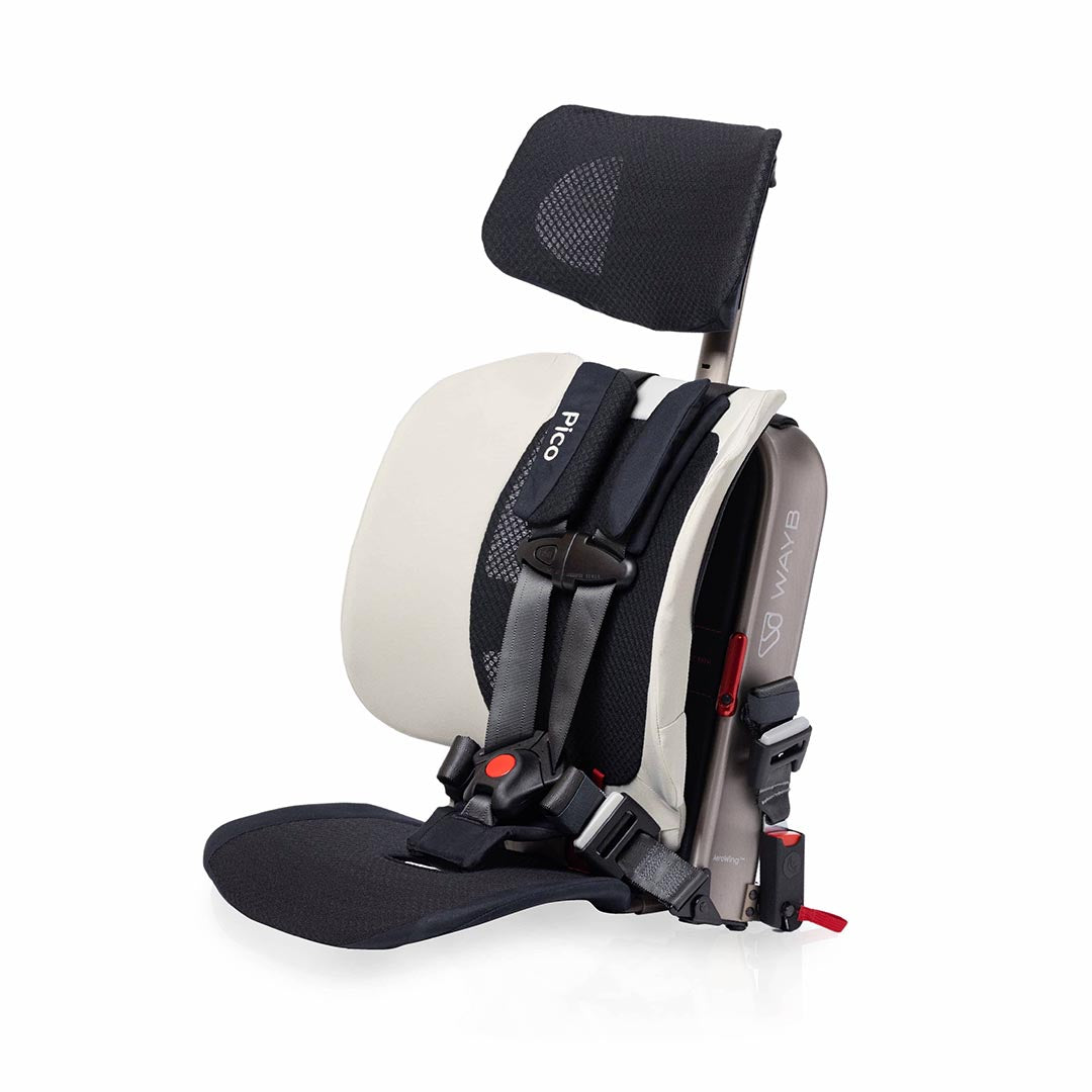 Stardust car seat